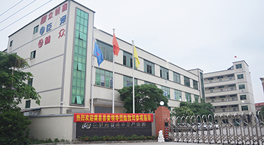 热烈欢迎渠县县委领导莅临我司参观指导！